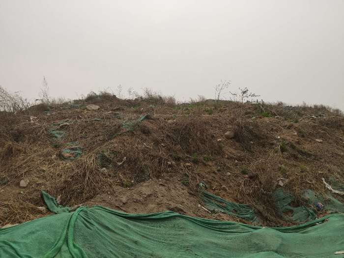 【啄木鸟在行动】市中区十六里河街道南康而村附近渣土未覆盖