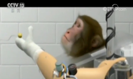 机器人令意念控制“超能力”成现实 我们怎么办？