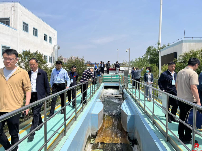 强基础惠民生 雨污分流净环境——“商量”调研组到天桥区开展现场商量