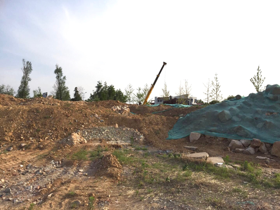 【啄木鸟在行动】244省道与102省道交汇处东北角大片渣土覆盖不全