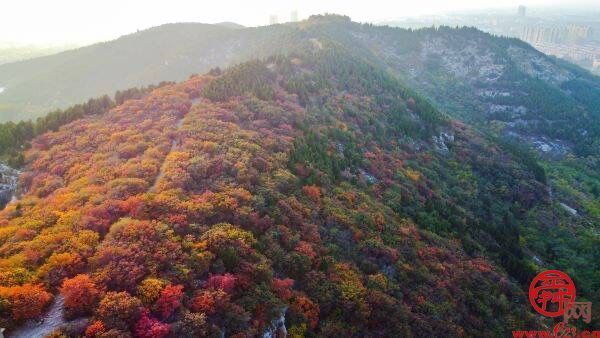 饮用水水源地达标率100%  绿化覆盖率近50%  生态槐荫谱写人与自然和谐共生现代化篇章