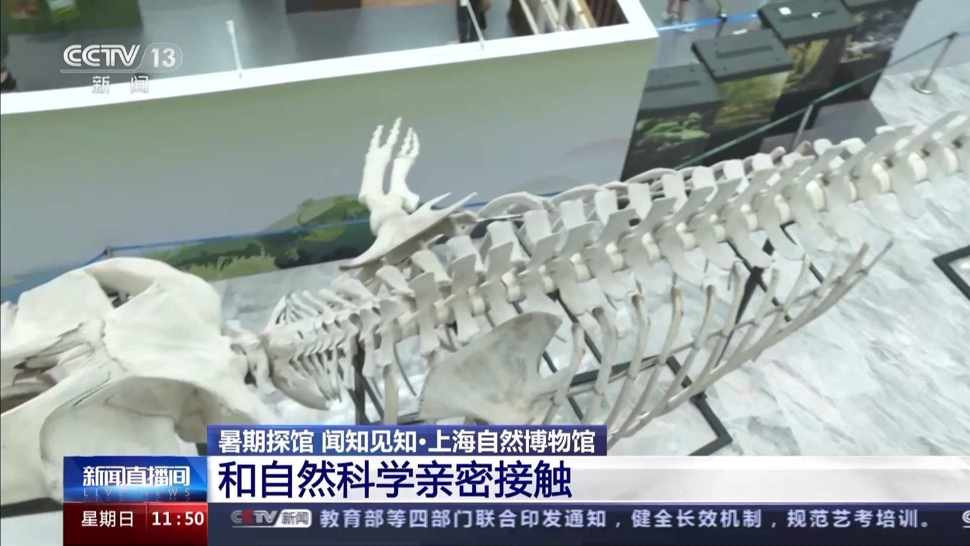 在互动中探索自然 这家热门博物馆有哪些特别的馆藏？