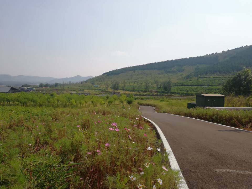 乡村振兴齐鲁行丨看山东首个国家级田园综合体是如何炼成的