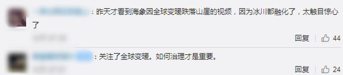 可怕!加拿大最后一个完整北极冰架坍塌,两天消失一个