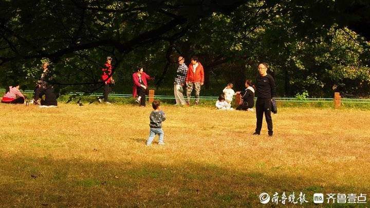 霜降时节济南市民扶老携幼出门休闲，在阳光下尽享晚秋的美丽