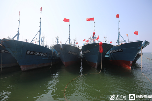山东省今天正式进入海洋伏季休渔期