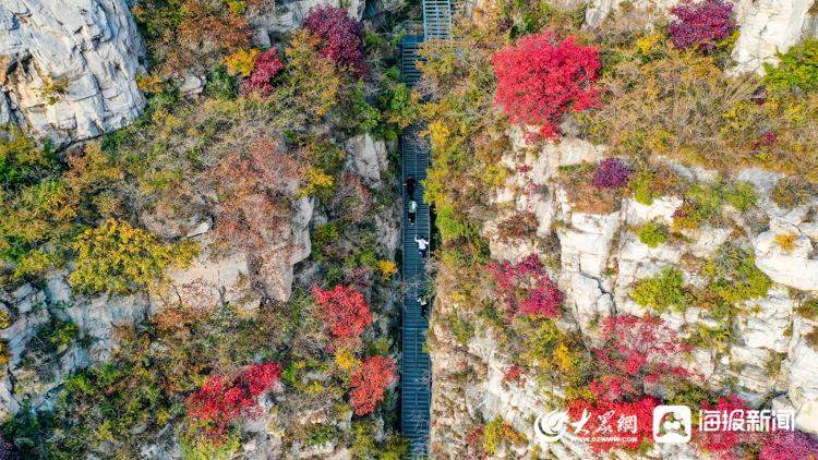 当秋色遇见玻璃栈道 淄博潭溪山宛如调色盘