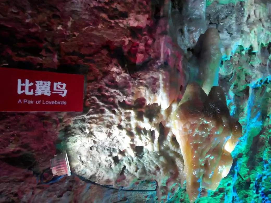 掰断临沂钟乳石3名游客还破坏多处景点，或只拘十天罚五百