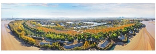 “生态兴”迈上高质量发展新台阶  擦亮生态底色守护槐荫“诗与远方”