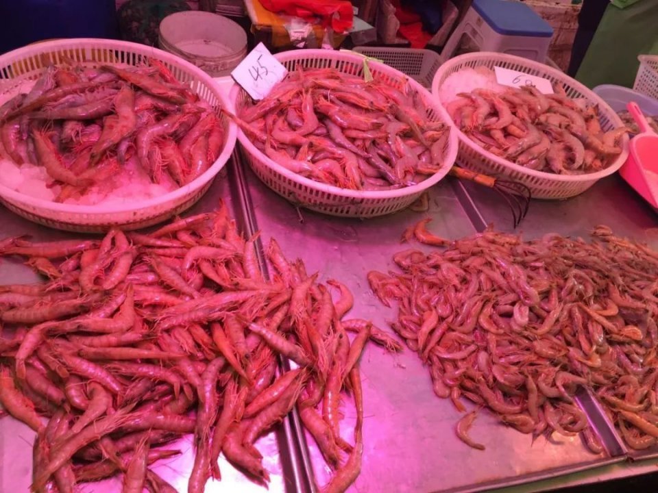 3天后封海！没海鲜不吃饭的青岛人咋办？凉拌！