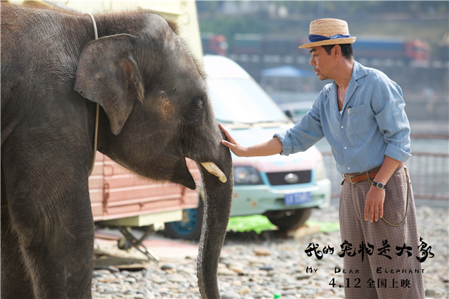 《我的宠物是大象》曝光宣传曲《大象的舞步》MV