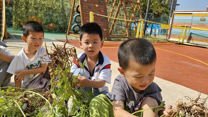 高新区雅郡清源幼儿园：童心探自然，沉醉秋收乐