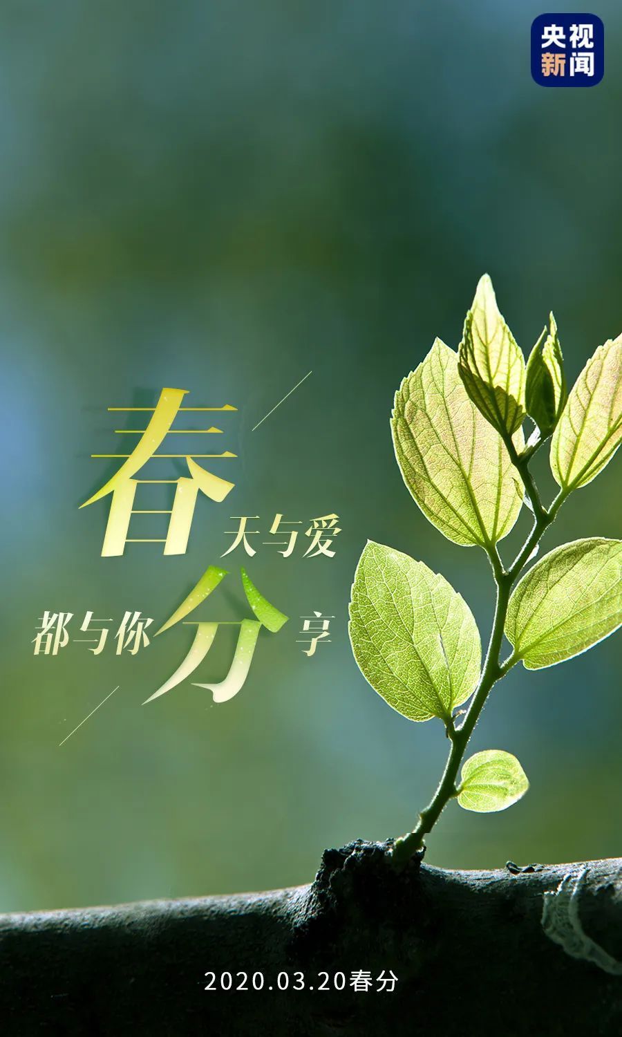 没有一个春天不会到来