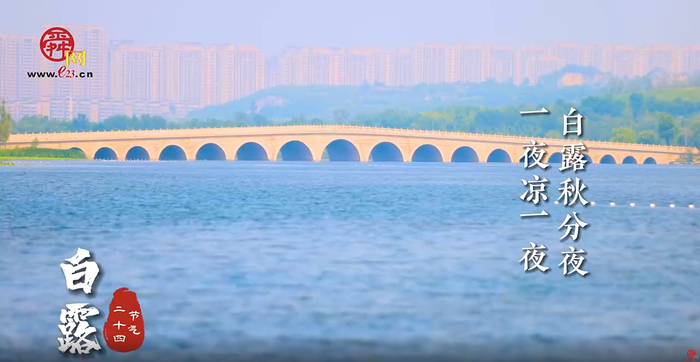 好客山东 好品山东｜露水不白，为什么要叫“白露”？