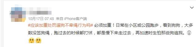 遛狗未拴绳致使宠物被撞死亡，谁来负责？