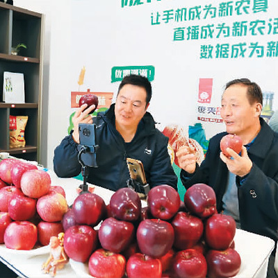 “百亿补贴”啥来头？补贴图啥？效果怎样？