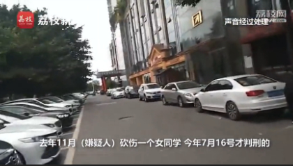 【真相惊人】四川一精神病人电梯内砍死8岁男童 去年曾砍伤一名女同学还在服刑期