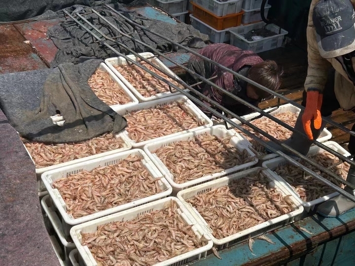 “95后”高材生返乡创业卖海鲜 “智富”同时不忘公益初心