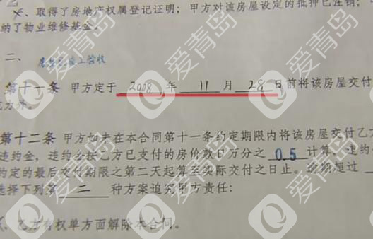 女子胶州买房十年没拿到钥匙 屋子已成鸽子窝