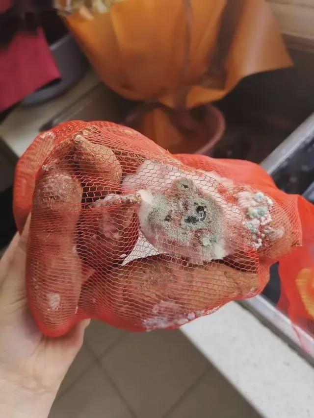 扎心了！女护士援鄂67天回家打开房门一瞬间惊呆，网友笑疯：太现实了