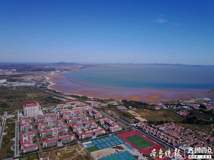 航拍山东大学青岛校区校园，红瓦绿树美如童话世界