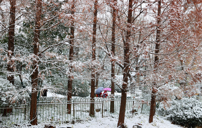 昨日济南降雪达到大雪、局部暴雪量级 今最低气温降至-5℃ 明起再迎雨雪天气