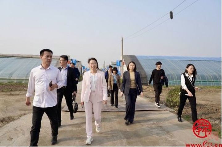 济南市盒马村授牌仪式暨农产品产业对接会成功举办