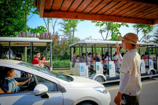 济南野生动物世界迎来客流高峰