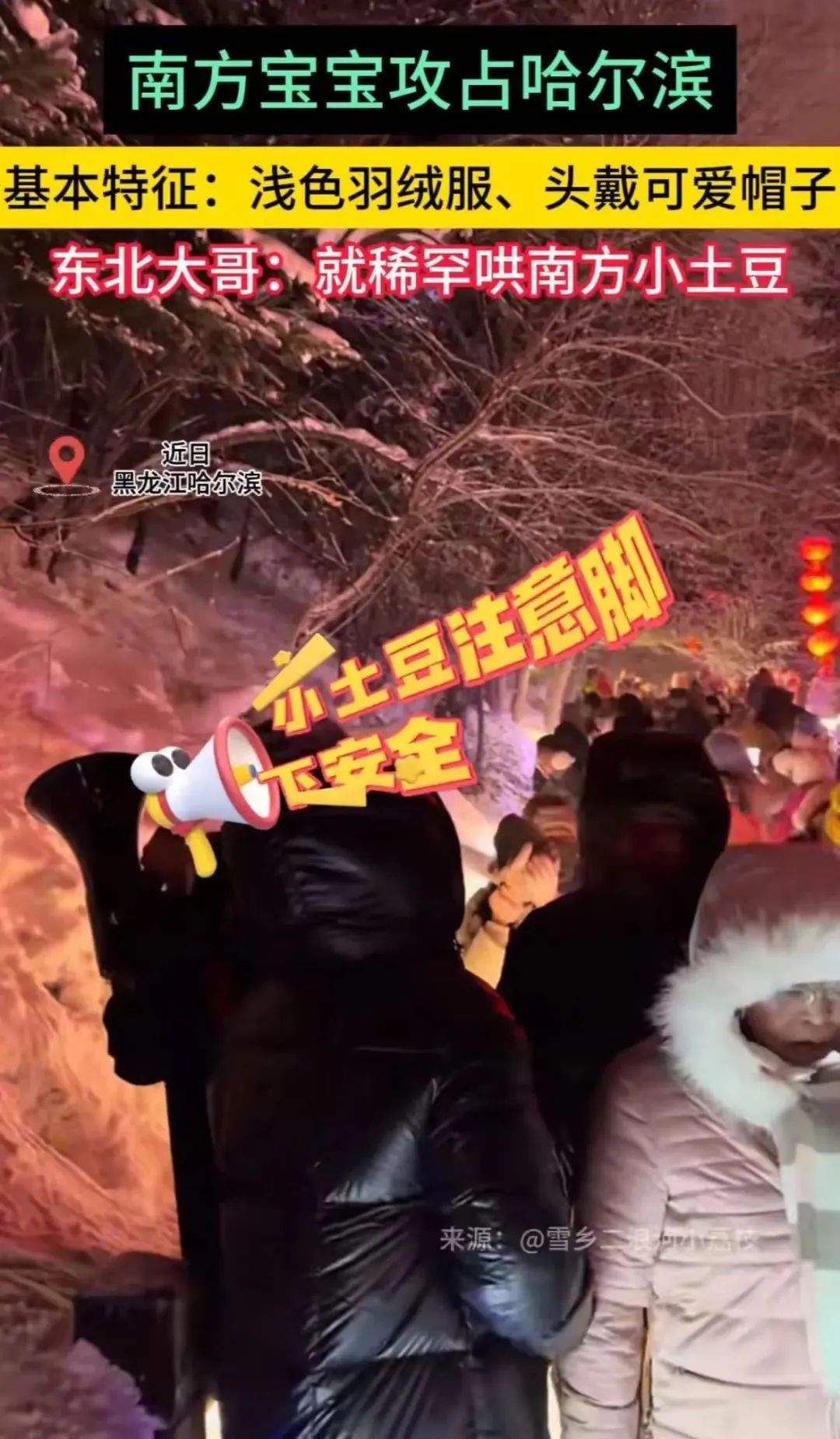 南方小土豆勇闯哈尔滨？连冻梨都开始摆盘了！