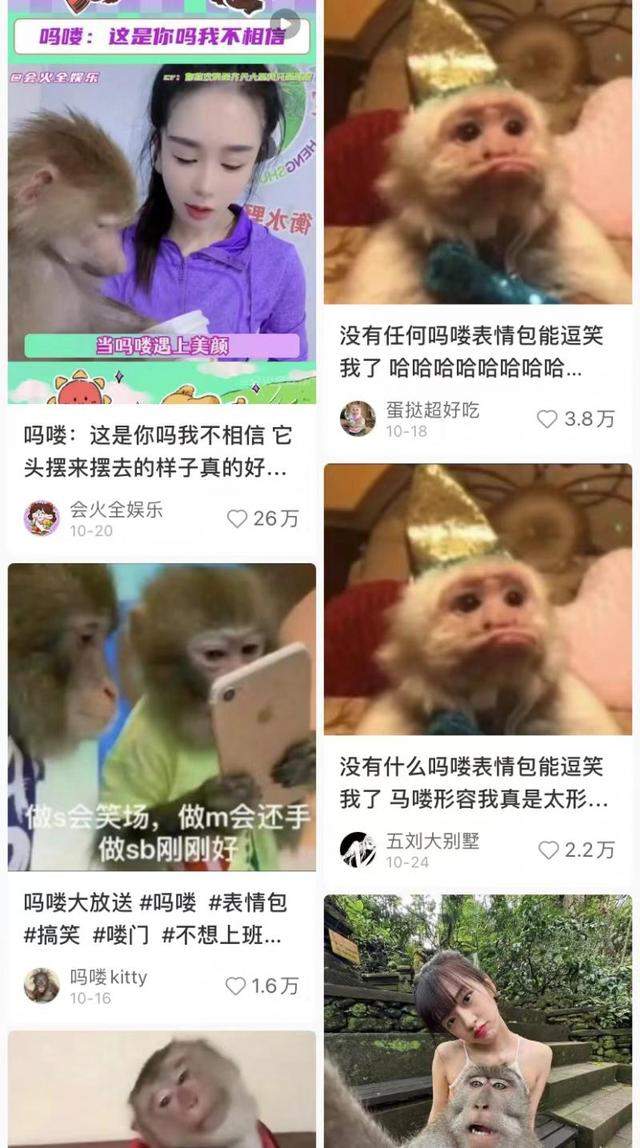 一夜之间“吗喽”占领了年轻人的生活圈 来自何方？