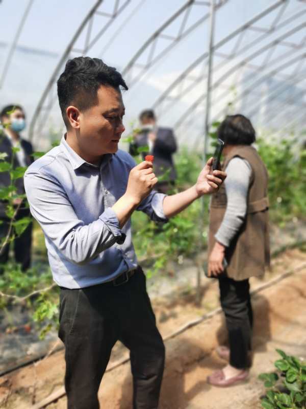 助力脱贫！济南驻村“第一书记”于汛网络直播帮村民卖草莓