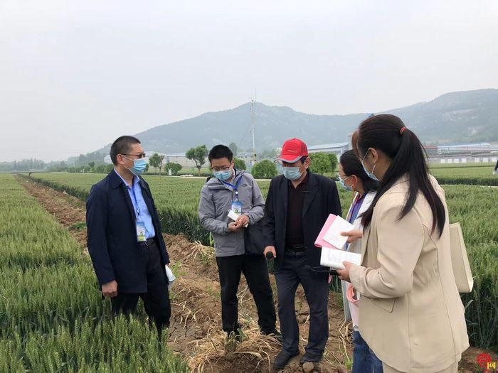 打造“北方种业之都”有底气，济南市政协开展现场商量