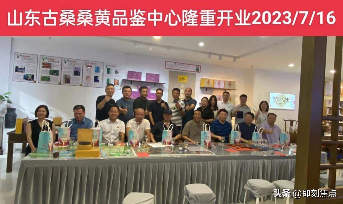 古桑桑黄黄纪年，黄河故道文脉绵！山东古桑桑黄品鉴中心开业