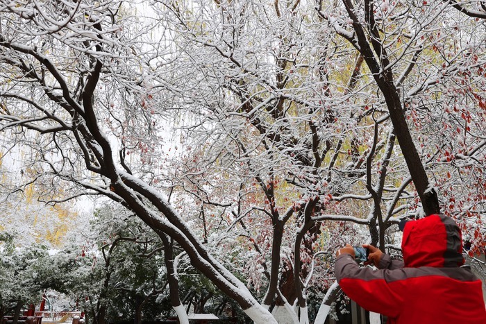 雾霭升腾 宛若仙境！雪后济南冬韵曼妙入画来  