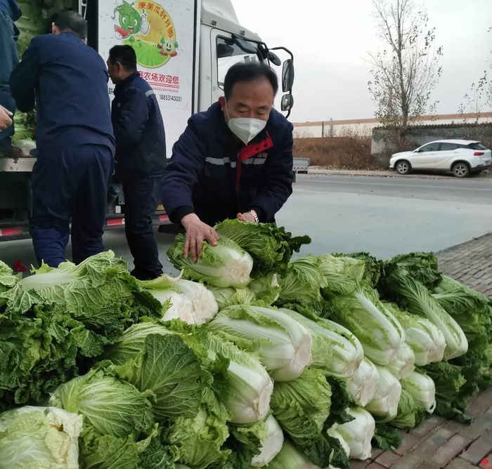 章丘：政协委员解民忧献爱心 助力农户销售蔬菜10万余斤