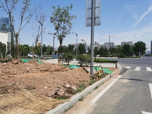 【啄木鸟在行动】淄博路、日照路交叉口西南角绿化带裸土造成扬尘