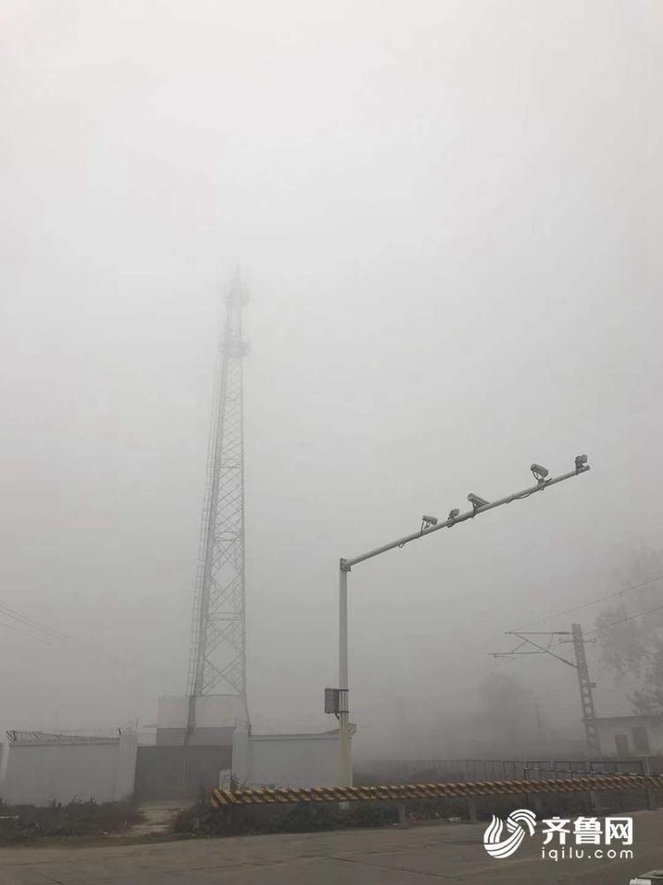 山东大雾来袭！雾气笼罩下楼宇开启“隐身模式”