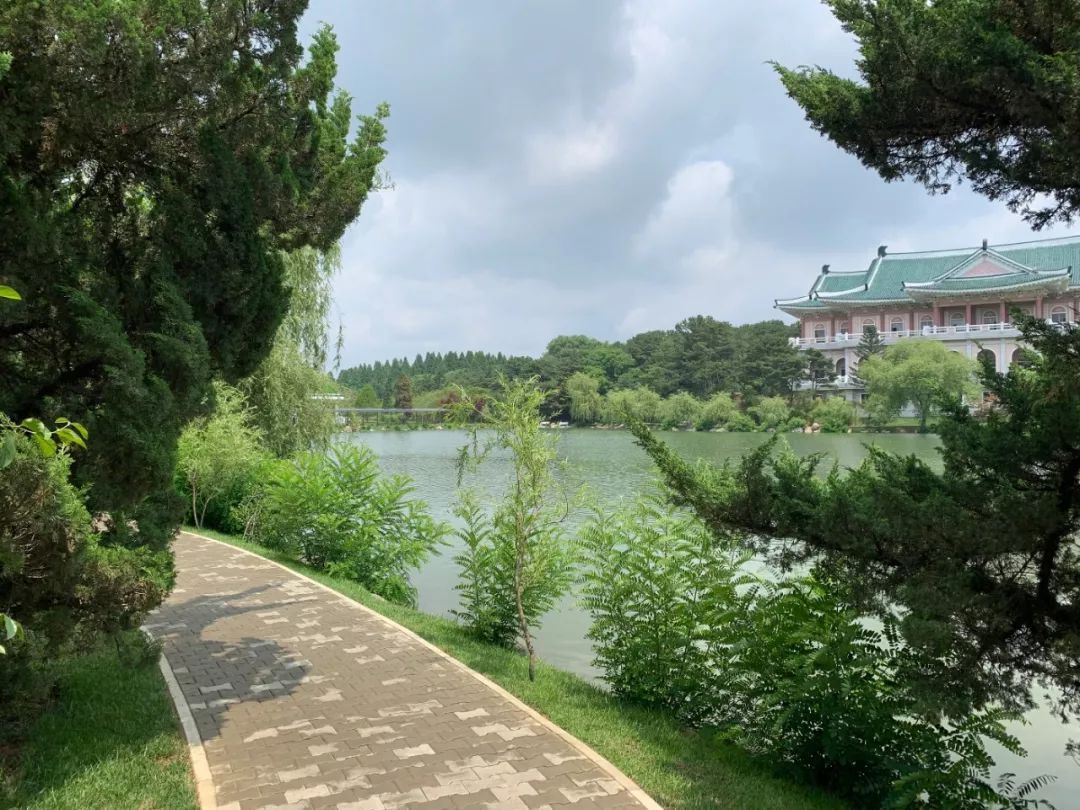 中朝历史性互访，习近平表达“三个坚定支持”