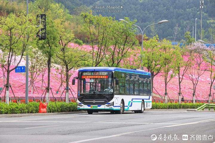 推出万张单次票、无轨电车体验……公交周济南将推多种便民措施