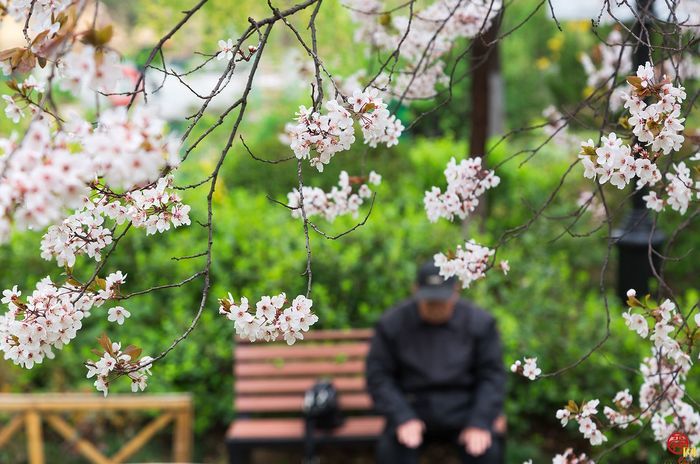 踏青赏花不用远游来天下第一泉风景区赴一场春天之约吧