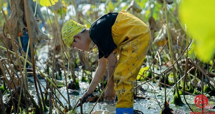 “一览槐荫好·中秋国庆欢游季”之“研”在槐荫