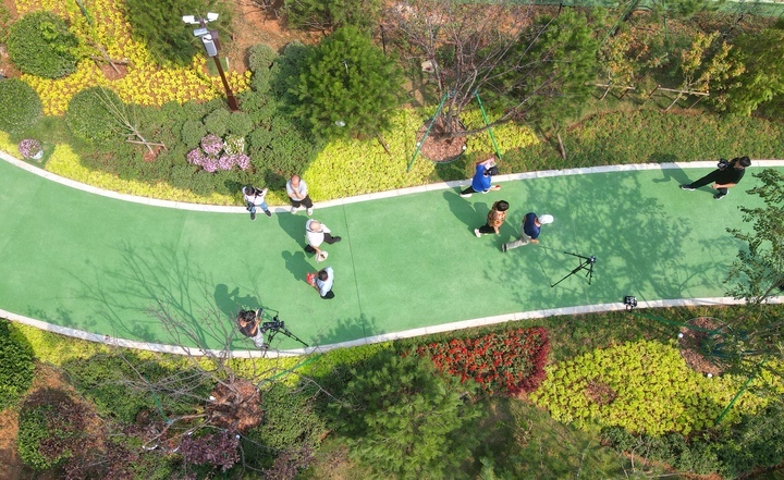 突出文化主题，创新生态价 济南醉于一园秋意间