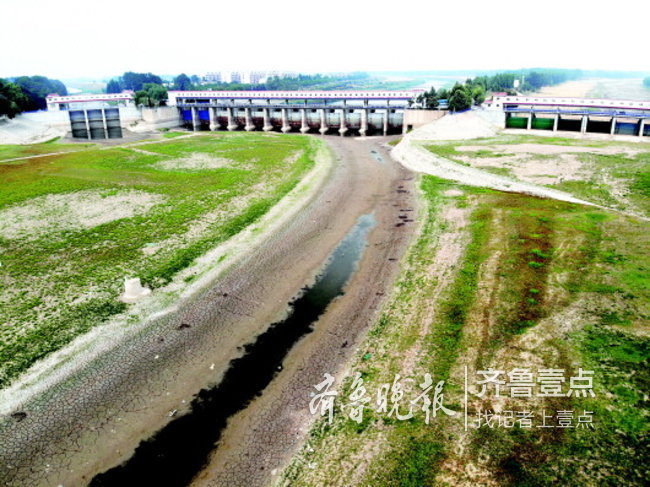 近期仍无有效降雨且持续高温 山东旱情将进一步加剧