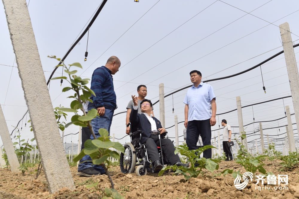 蹲点看履职⑦｜全国人大代表孙建博：34年坚守绿色初心，履职永远在路上