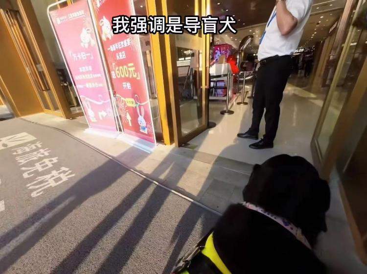 导盲犬进商场遇阻引发网友关注 商场回应：顾客出示证件后可进