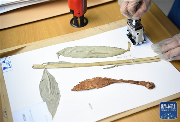 第二个国家植物园来了！华南国家植物园揭牌