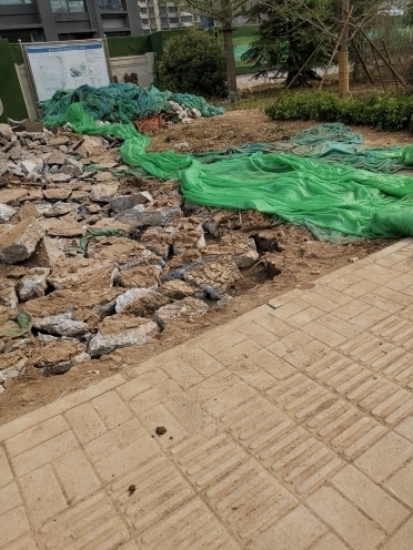 啄木鸟在行动:青岛路辅路绿化带渣土裸露 建筑石块未覆盖