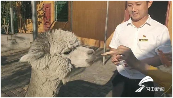 国庆假期已开启“人人人我人人人”模式，你那里人多吗？来跟记者畅游山东吧