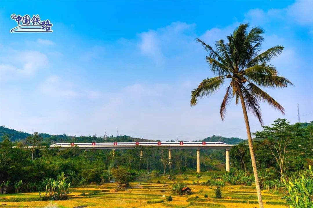 东南亚首条高铁！合建中印尼合建的东南的雅雅万高铁开通运行