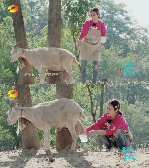 林心如变身勤劳管家，新一期《亲爱的客栈》成绩逆袭